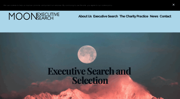 moonexecsearch.com