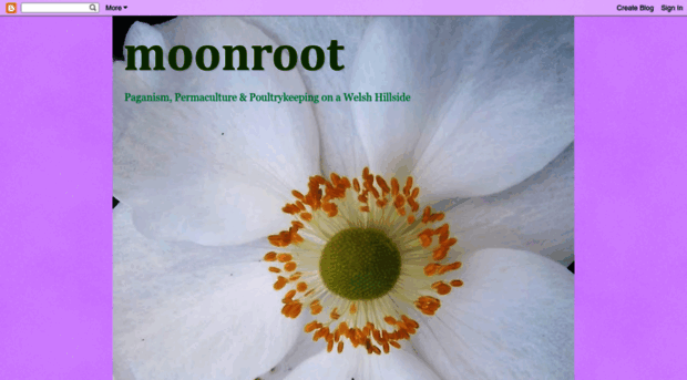 moonroot.blogspot.com
