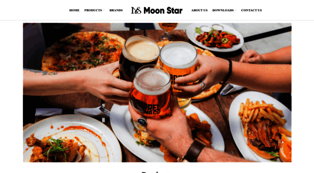 moonstar.co.in