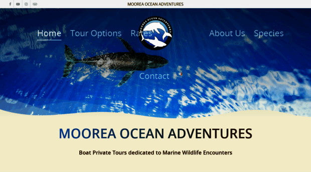 moorea-ocean-adventures.com