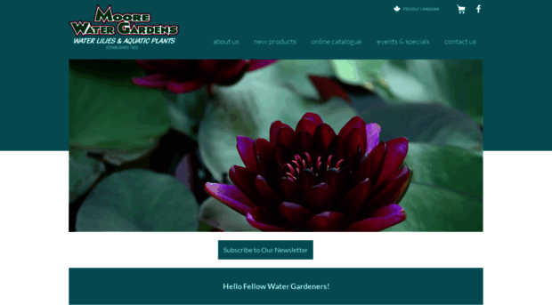 moorewatergardens.com