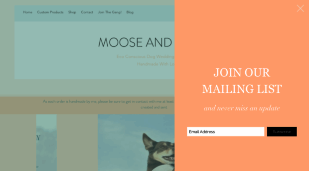 mooseandcamel.com