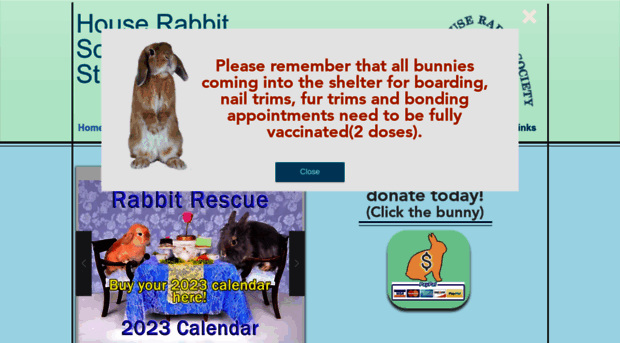 morabbit.org