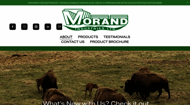 morandindustries.com