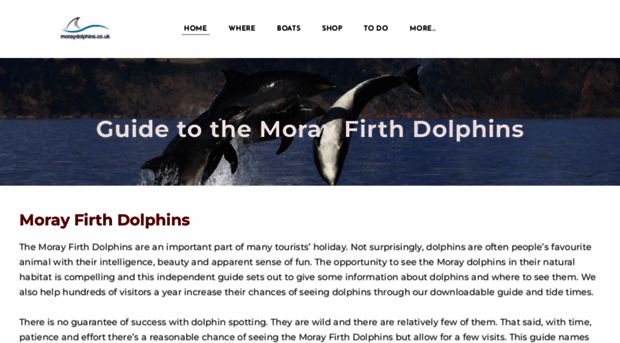 moraydolphins.co.uk
