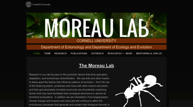 moreaulab.entomology.cornell.edu