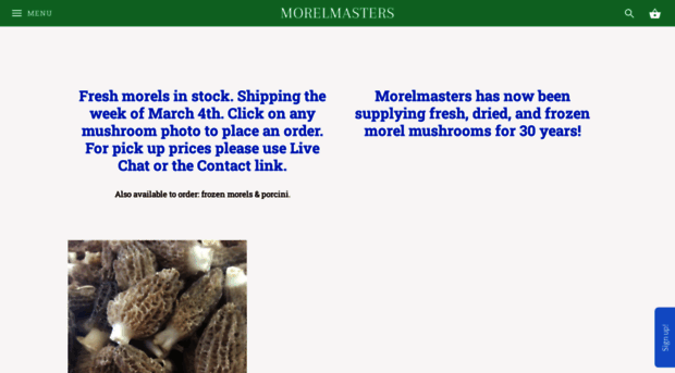 morelmasters.com