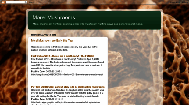 morelmushrooms.blogspot.com