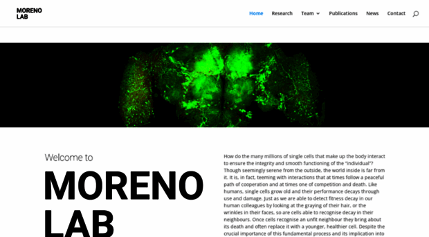 moreno-lab.org