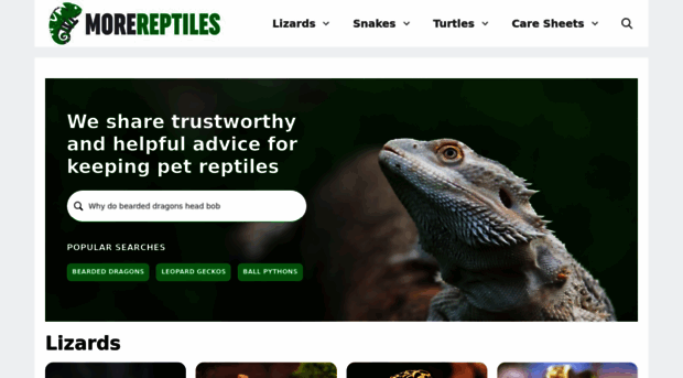 morereptiles.com