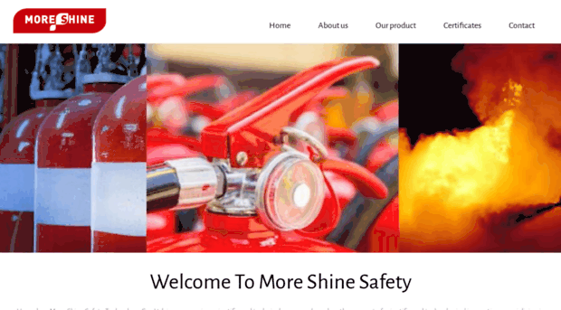 moreshinegroup.com