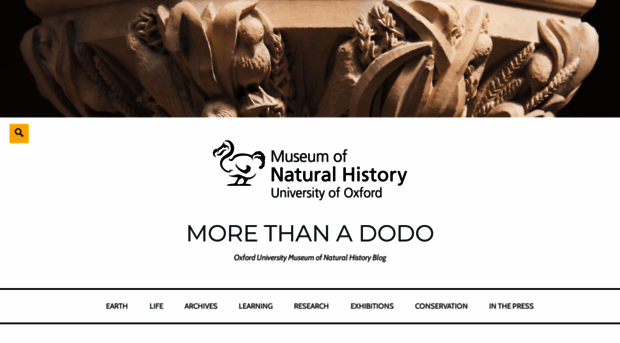 morethanadodo.com