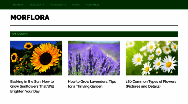 morflora.com