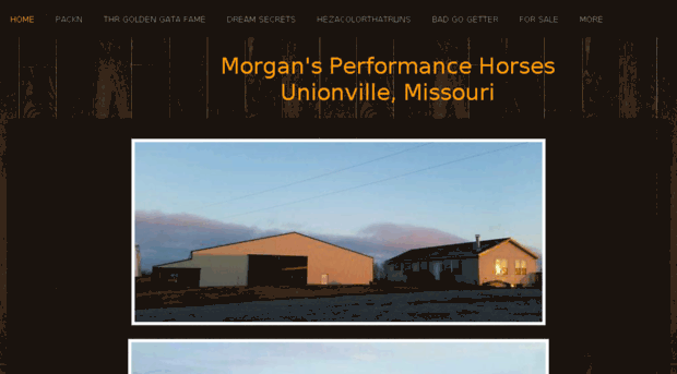 morgansperformancehorses.org