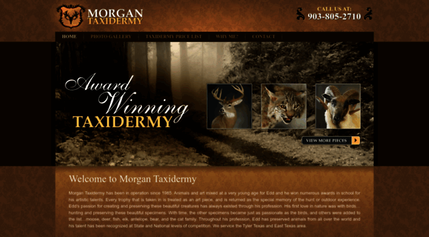 morgantaxidermy.com