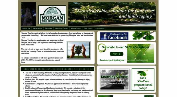 morgantreeservice.com