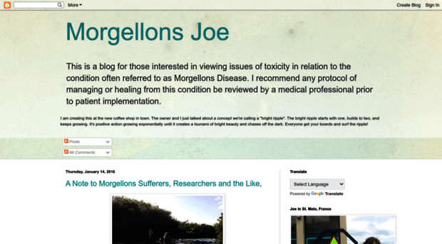 morgellonsjoe.blogspot.com