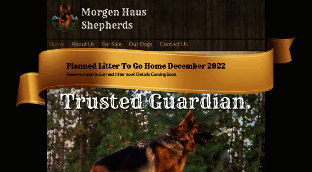 morgenhausshepherds.com