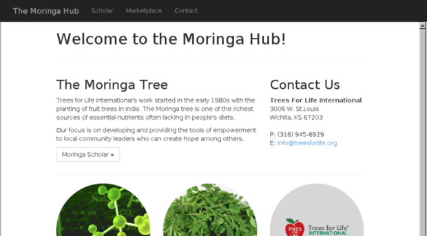 moringa.treesforlife.org