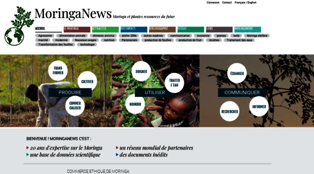 moringanews.org