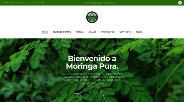 moringapura.com