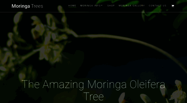 moringatrees.org