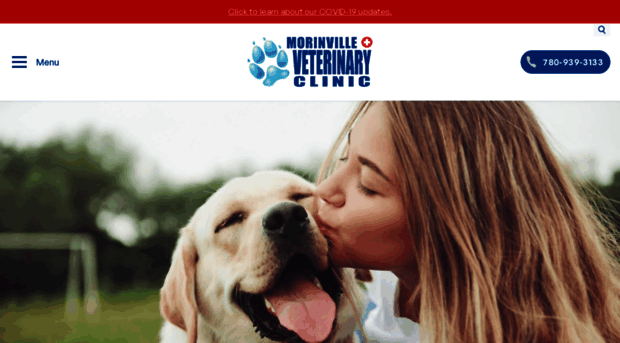 morinvillevet.com