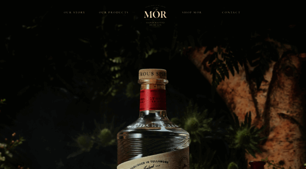 moririshgin.com