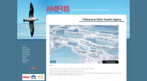 moris.com