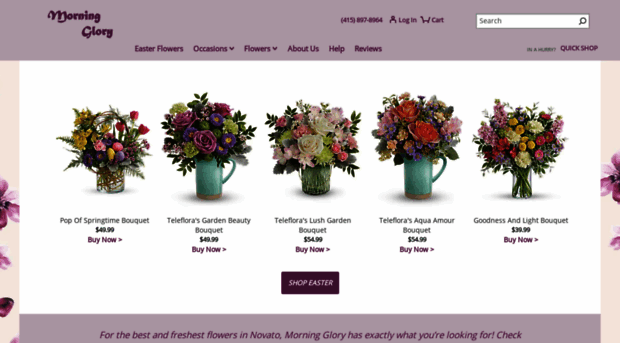 morninggloryflorist.com