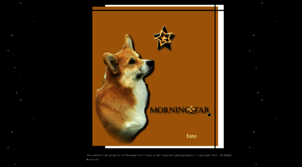 morningstarcorgis.com