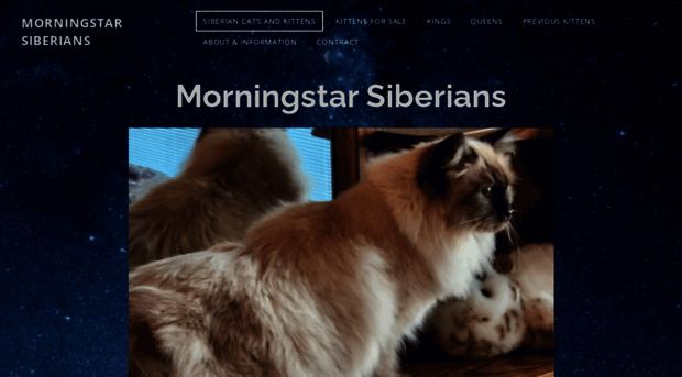 morningstarsiberians.com