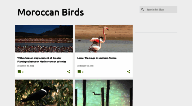 moroccanbirds.blogspot.com