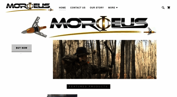 morpheusbroadhead.com