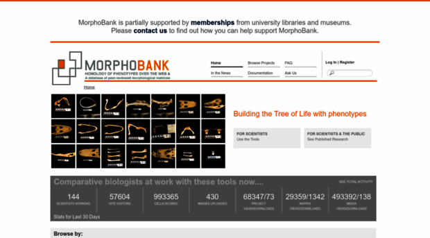 morphobank.org