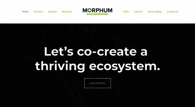 morphum.com