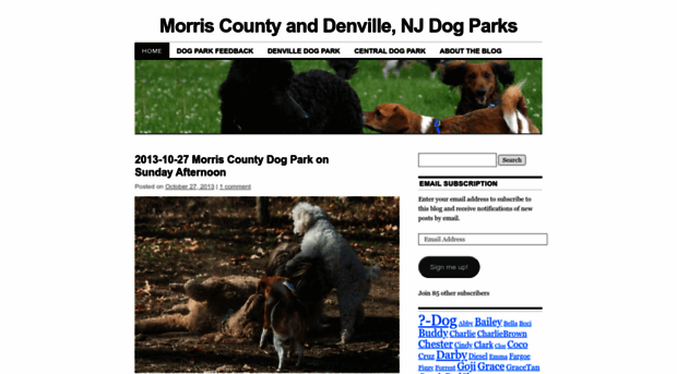 morriscountydogpark.com