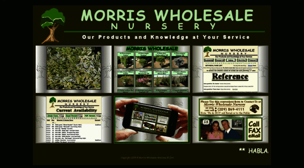 morriswholesale.com