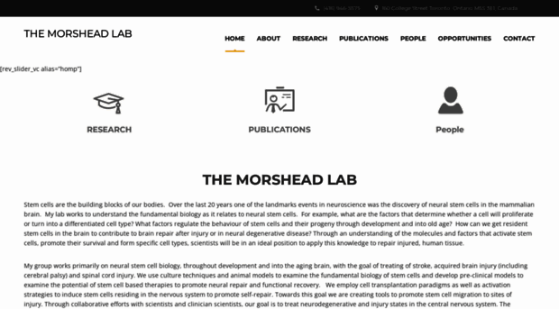 morsheadlab.technology