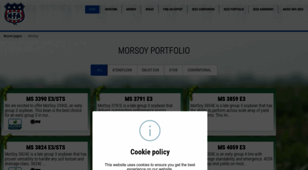 morsoy.com