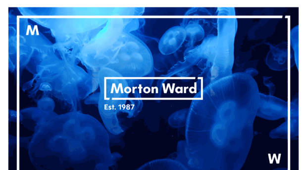 mortonward.co.uk