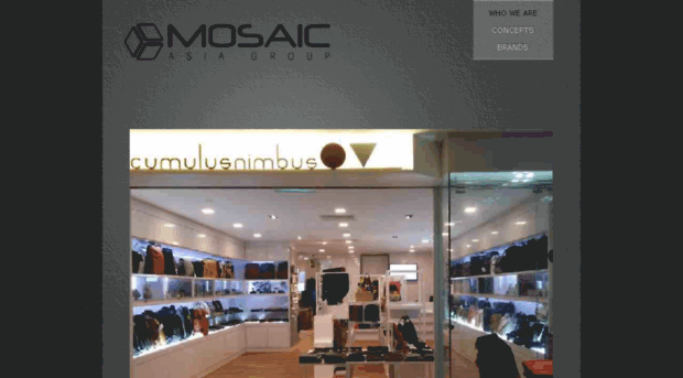 mosaicasiagroup.com