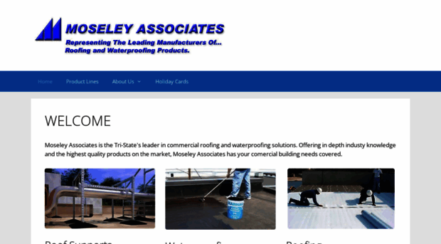 moseleyassociates.com