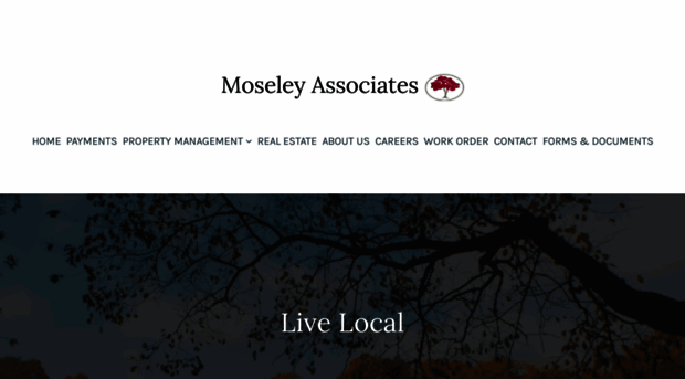 moseleyassociates.net