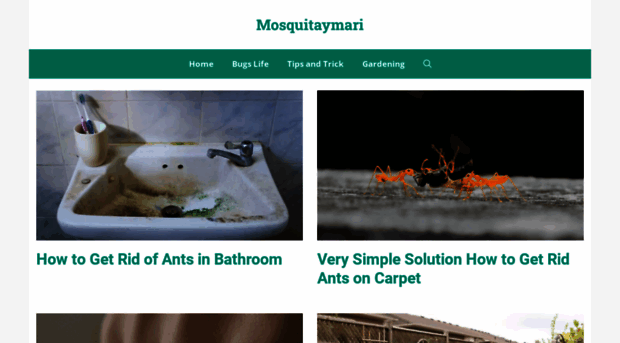 mosquitaymari.com