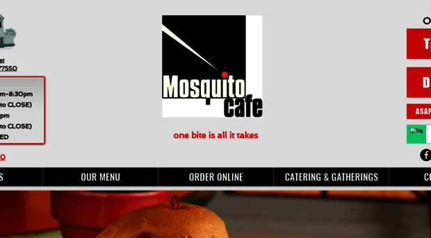 mosquitocafe.com