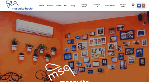 mosquitohostel.com