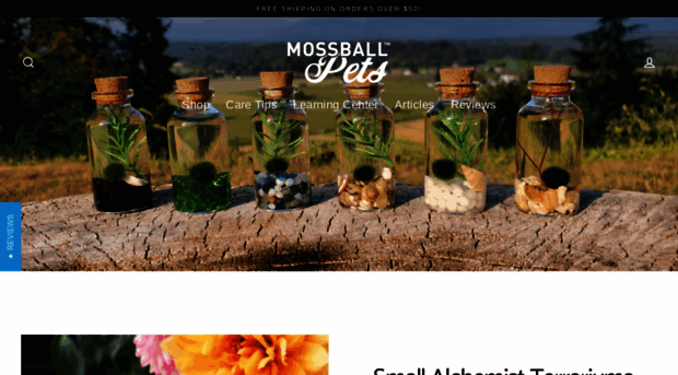 mossballpets.com