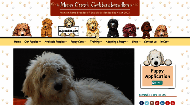 mosscreekgoldendoodles.com