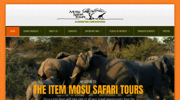 mosusafaritours.com